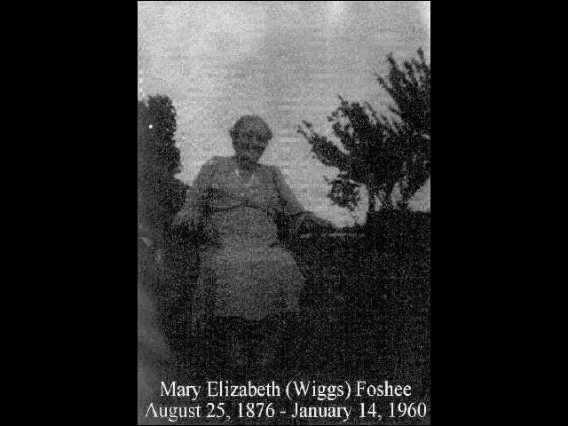 Mary Elizabeth Wiggs(Date-)
