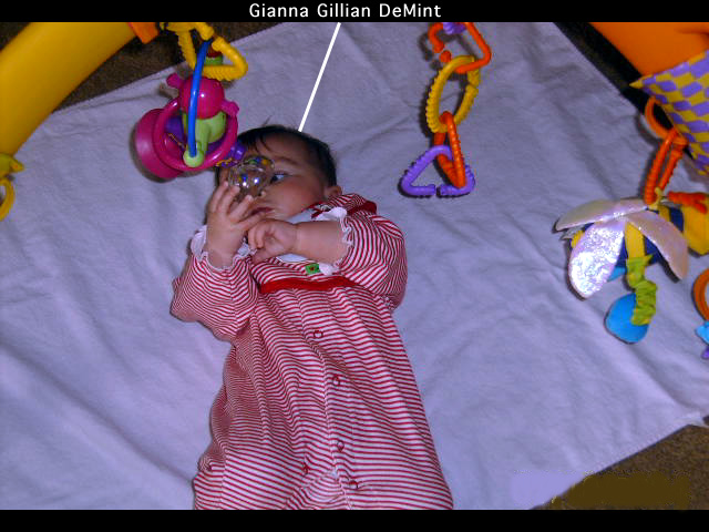 Gianna Gillian DeMint(Date-2005)